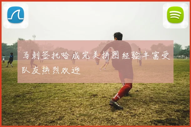 马刺签托哈成完美拼图经验丰富受队友热烈欢迎